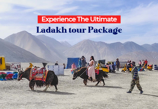 Experience The Ultimate Ladakh tour Package